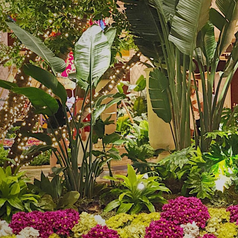 Meet your Posher, Rose